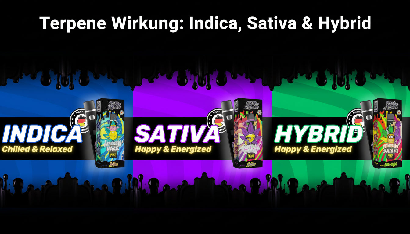 Terpene Wirkung: Indica, Sativa & Hybrid erklärt